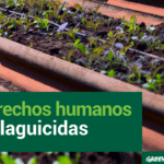 Derechos humanos y plaguicidas