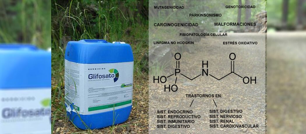 Glifosato