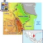NVo_ leon