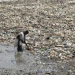 Contaminación mundo