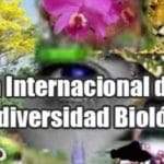 Día mundial de la biodiversidad