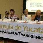 Yucatán-libre-1