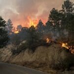 Incendio-en-Nuevo-Leon-3