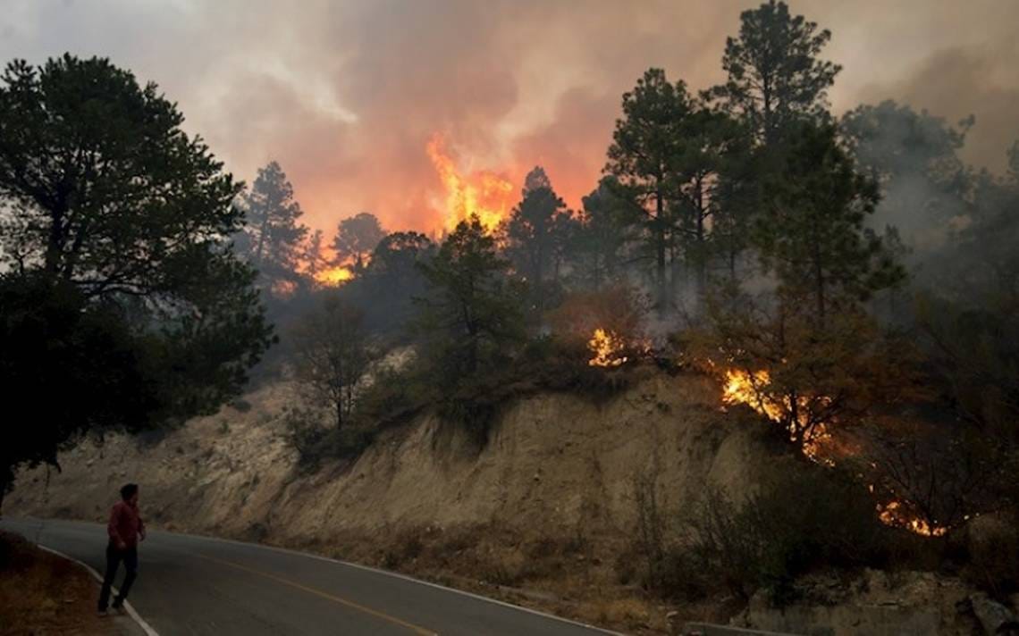 Incendio-en-Nuevo-Leon-3