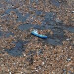 Mares-de-plastico