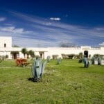 Ex-Hacienda-San-Pedro-3