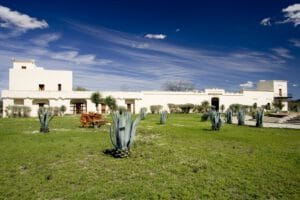 Ex-Hacienda-San-Pedro-3