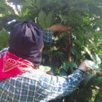 EZLN-luis-2