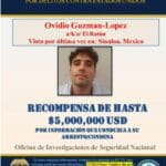 OVIDIO1-2