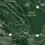 Lacandona-2