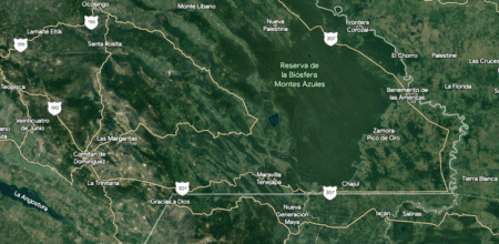 Lacandona-2