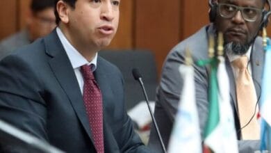 Kumamoto publicita el fondo de Pensiones para el Bienestar