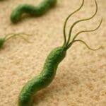 Microorganismos causantes de cáncer