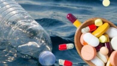 Sintetizan paracetamol