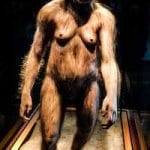 Lucy1