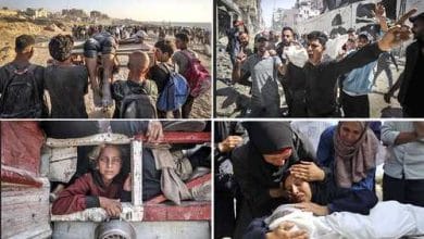 Rafael Rangel documental Gaza