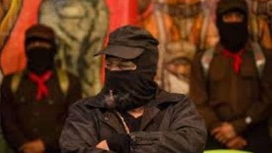 EZLN Semillero abril 2026.jpg1