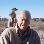 David Attenborough,