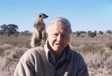 David Attenborough,