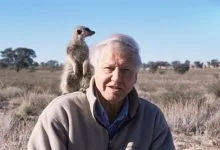 David Attenborough,