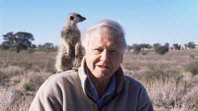 David Attenborough,