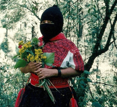 CNI 1996