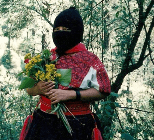 CNI 1996