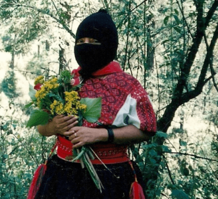 CNI 1996