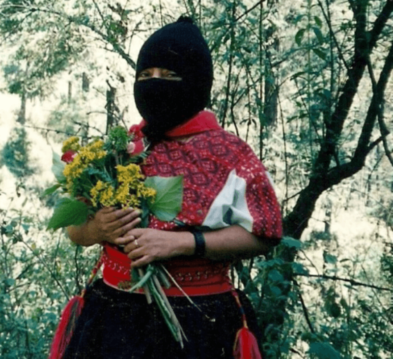 CNI 1996